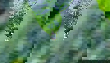big-image.jpg
