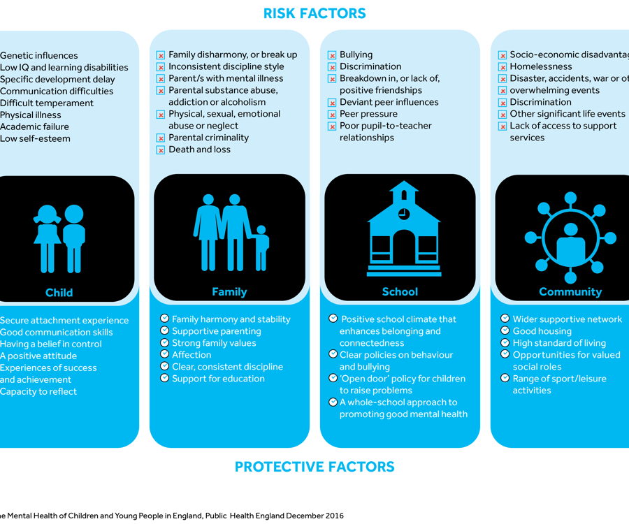 Risk factors for children, family school and community