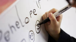 Independent Parental Special Education Advice website