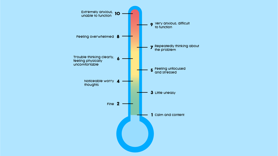 Thermometer1