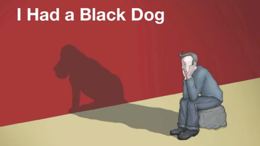 I had a black dog video