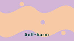 Self-harm: guidance for staff in further education colleges