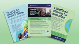 Climate change and mental health toolkit