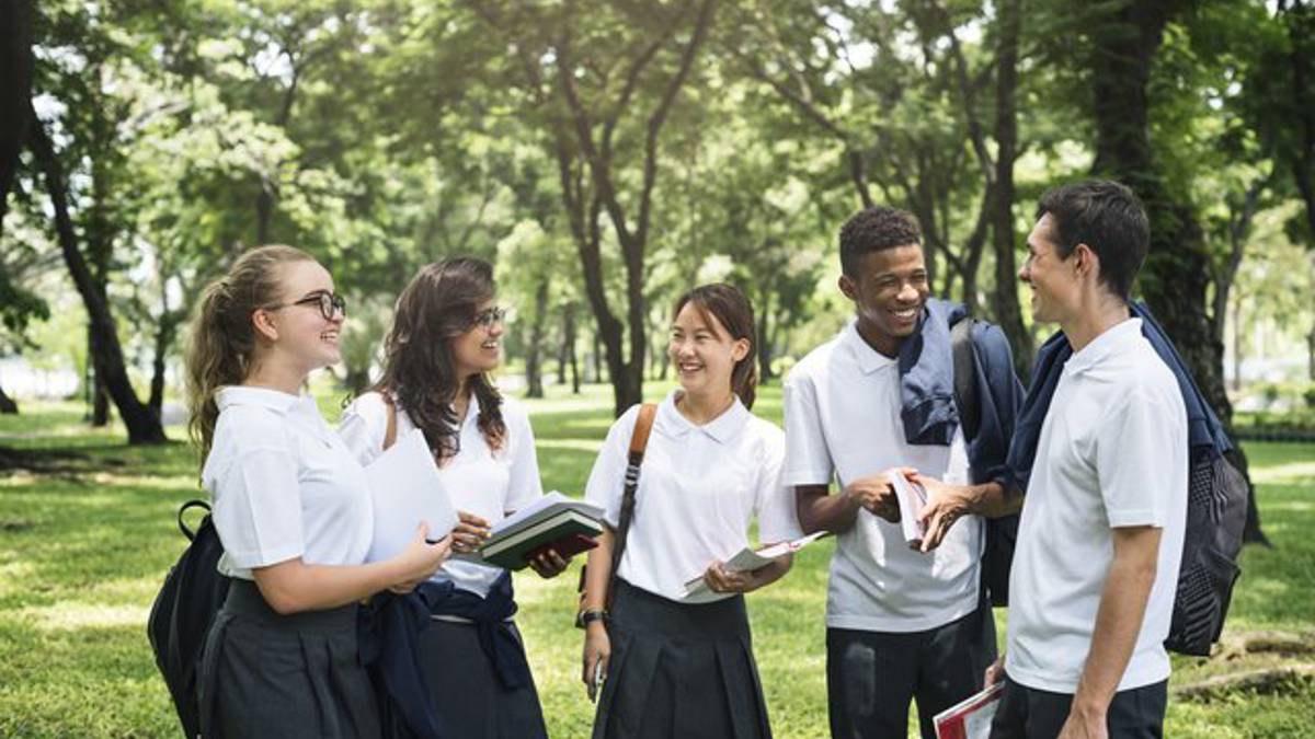 Sexual harassment lesson plan : Mentally Healthy Schools